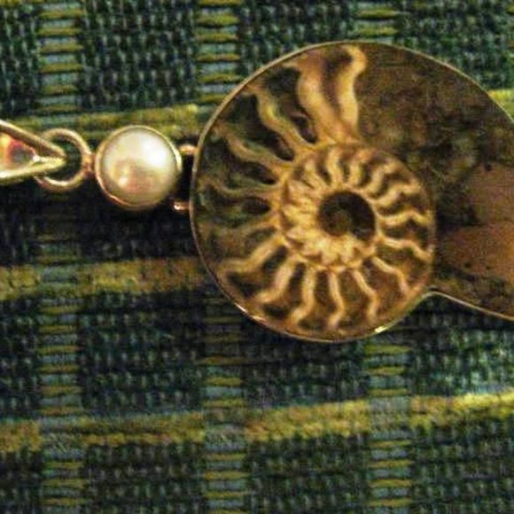 FOSSIL Pendant Shell Beautiful - Picture 3 of 5